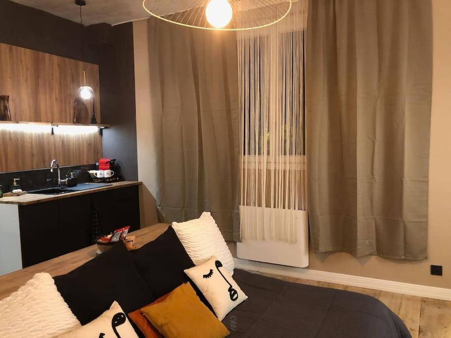 Le Tulum, T2, Hyper-Centre, Place Aux Herbes Mâcon Kültér fotó